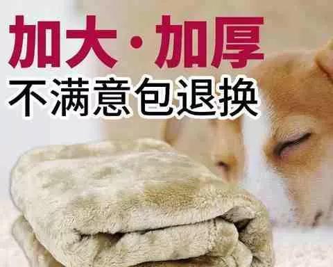 如何正确地给宠物贵宾洗澡（贵宾洗澡的周期和注意事项）