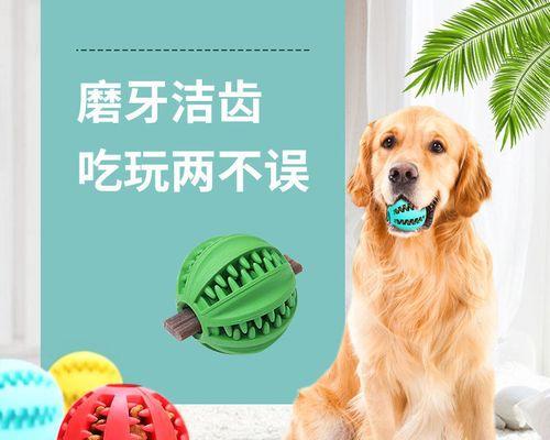 为什么要给宠物狗刷牙（保持口腔健康，预防疾病）