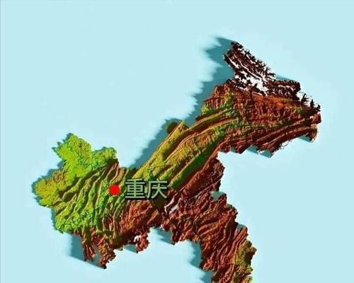 玳瑁西部赫曼陆龟的饲养指南（建议、技巧、常见问题及注意事项）