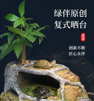 红冠棱背龟饲养指南（打造一个健康快乐的宠物龟生活空间）