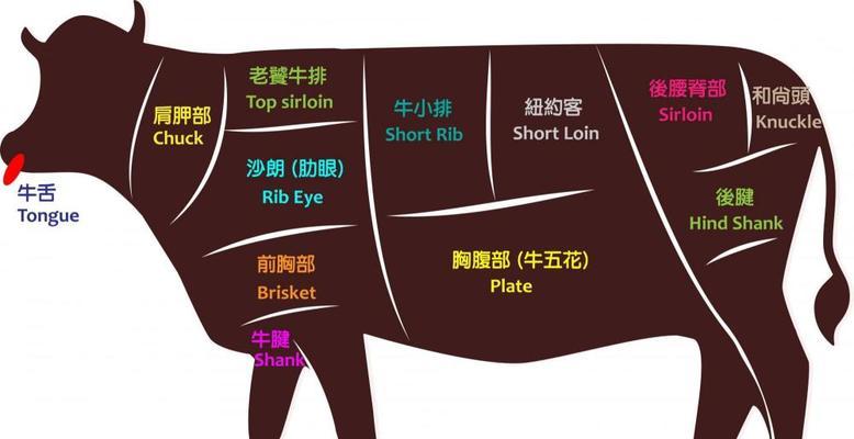 牛头獒饲养指南（打造健康、快乐的宠物生活）