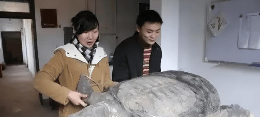 斑鳖饲养指南（打造舒适的饲养环境，让斑鳖健康成长）