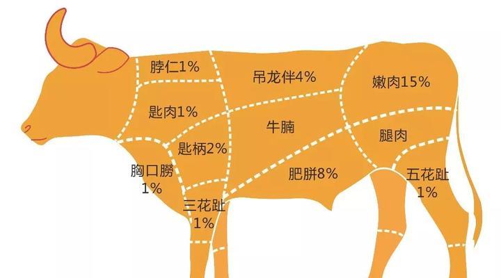 牛头獒饲养指南（了解牛头獒的习性与饲养技巧）
