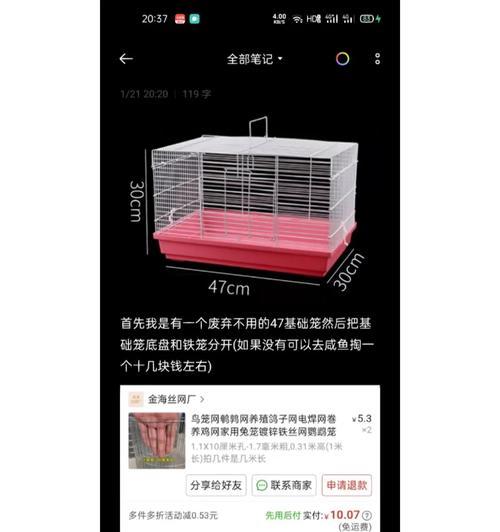 花枝鼠的饲养方法详解（养花枝鼠你需要掌握这些知识）