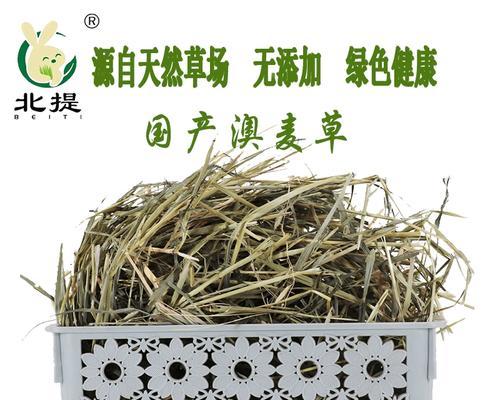 灰尾兔的饲养技巧（打造舒适的家园）