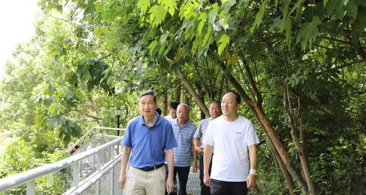 如何正确饲养华丽线塘鳢？（华丽线塘鳢饲养的六大技巧）