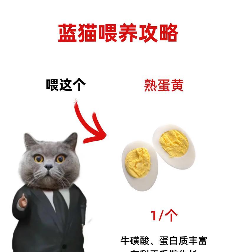以蓝点颏为宠物的饲养方法（养一只蓝点颏，享受独特的宠物体验）