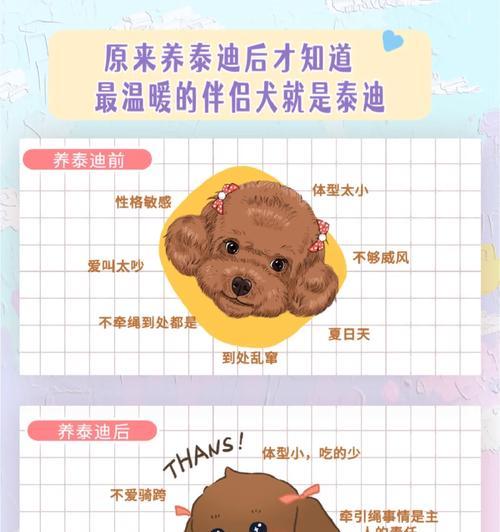 长卷毛猎犬的饲养方法（打造健康快乐的毛茸茸伙伴）