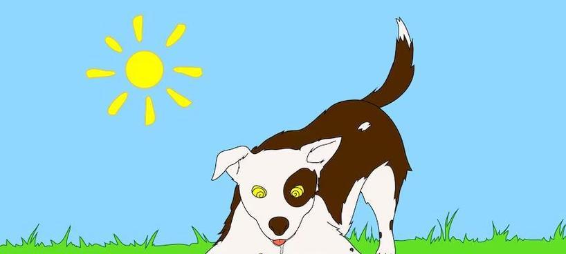 如何饲养健康快乐的安娜图牧羊犬（从食物、运动和训练开始，为您的爱犬提供最佳的照顾）