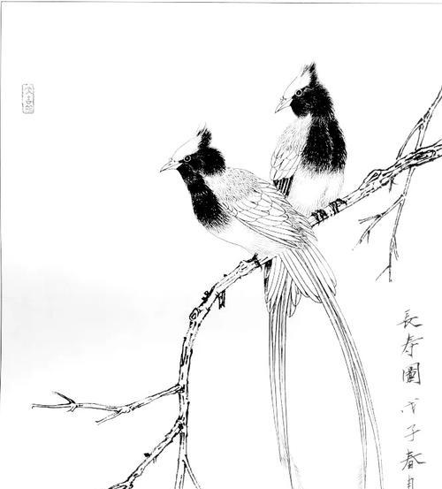寿带鸟的饲养方法（打造幸福健康的寿带鸟生活）