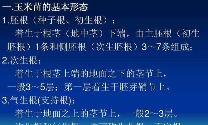 燕子美人的饲养方法（以宠物为主，让燕子美人成为您的好伙伴）