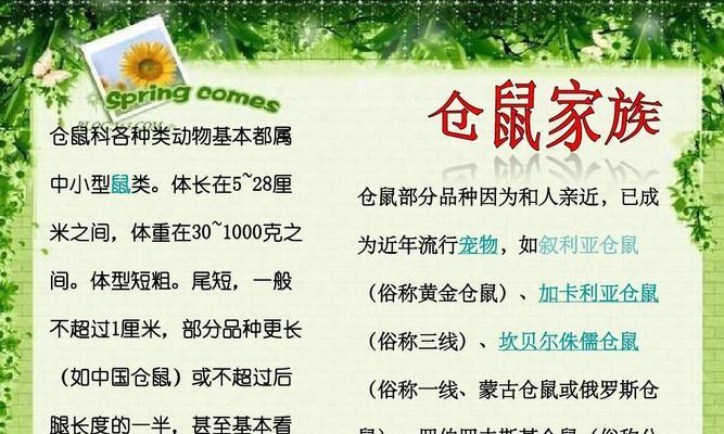 银狐仓鼠的饲养方法（打造最适合它们的居住环境）