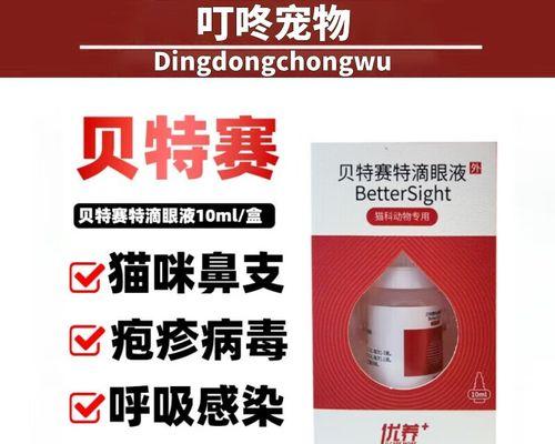 赛特犬的饲养全指南（做好这些，让你的赛特犬更健康快乐）