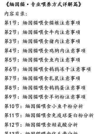 粗颈龟的饲养方法详解（从宠物店到家中的粗颈龟，让它健康成长的秘诀）