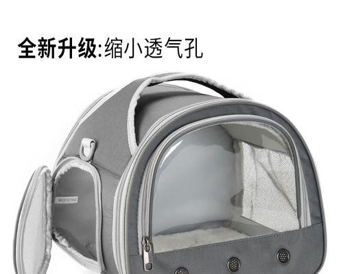 灰鼯鼠的饲养方法（打造健康可爱的灰鼯鼠宠物）