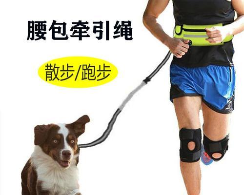 如何正确给小狗狗戴牵引绳（宠物犬安全出行的必备技能）