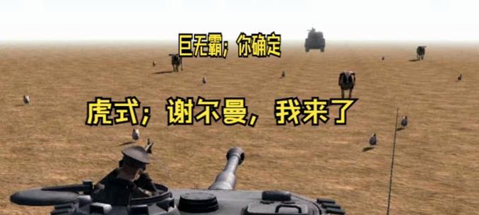 谢尔曼狐松鼠饲养全指南