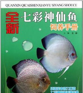 黑神仙鱼的饲养全攻略（一步步教你打造健康快乐的小天使）