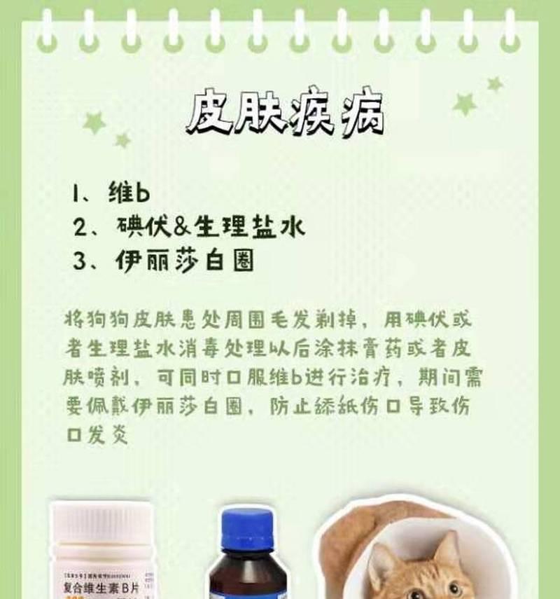 家中常备这些药，狗狗再也不怕生病了！（家庭宠物健康保障，常备这些药品是必要的）