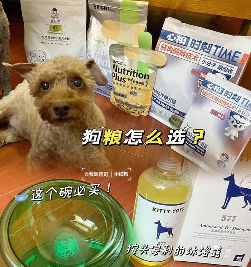 狗狗的饮食需求及喂养方法（探究狗狗在一个月龄前的饮食规划与注意事项）