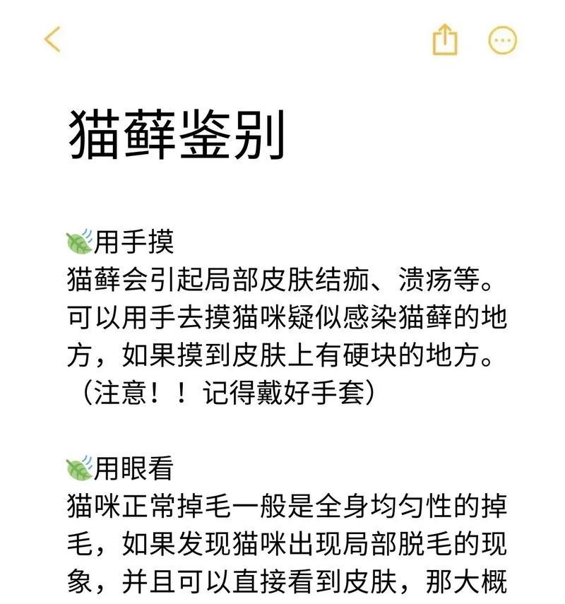 猫咪猫癣治疗分享，保护你的毛孩健康不可忽视！（了解猫癣的原因和症状，预防和治疗方法不容忽视！）