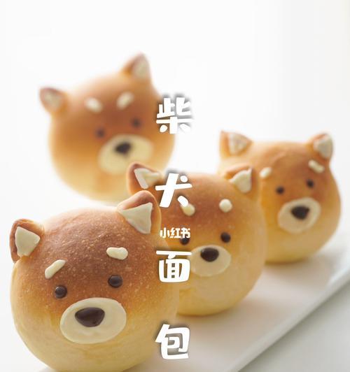 柴犬美毛的秘诀（了解柴犬美毛所需的营养与橄榄油的正确喂养方法）