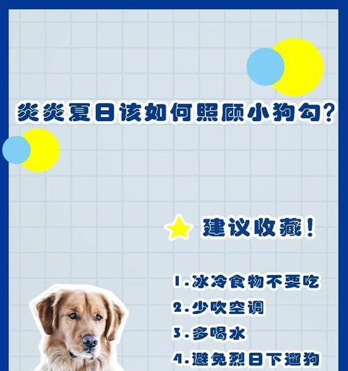 幼犬喝水的最佳时间和水温选择（为幼犬提供适宜的喝水时间和水温的重要性）