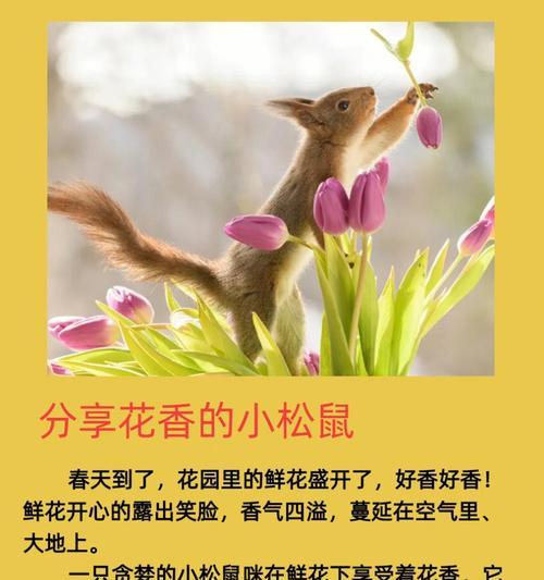 宠物松鼠的饲养攻略及注意事项（打造温馨宠物家园，快乐与松鼠共享）