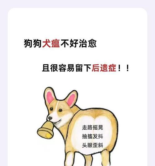 了解犬瘟（犬瘟病毒的传播途径、症状及预防措施）