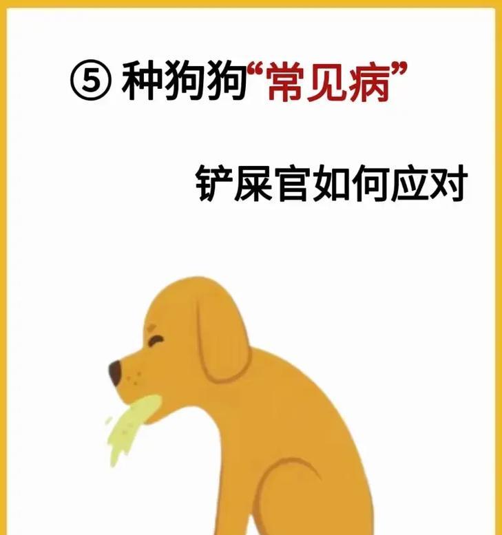 如何判断狗狗是否伤心？探寻狗狗情绪的五个表现（狗狗的情绪世界，你了解吗？）
