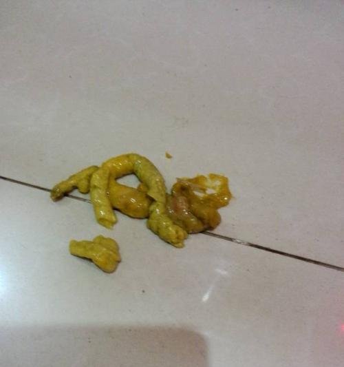 如何对症治疗银渐层拉肚子的有效方法（掌握关键技巧，有效应对银渐层拉稀的困扰）