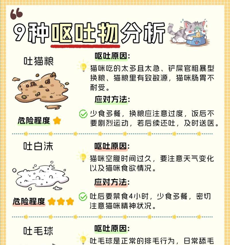 新手铲屎官指南（幼猫的饮食需求及正确喂养方法）