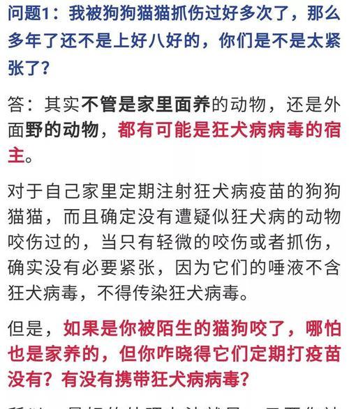狂犬病（揭秘狂犬病感染过程和关键节点，让您了解更多）