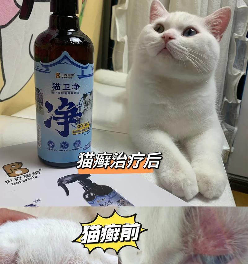 幼猫猫癣的治疗方法及药物选择（幼猫长猫癣应该如何治疗？）