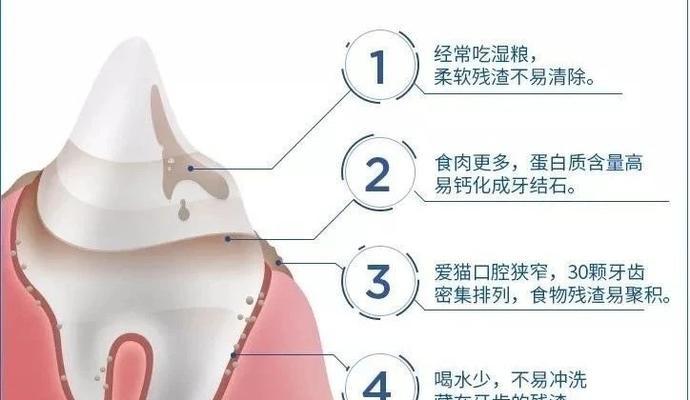 狗狗口臭怎么办？解决方法大揭秘！（口腔清洁与饮食调理，让你家狗狗告别口臭）