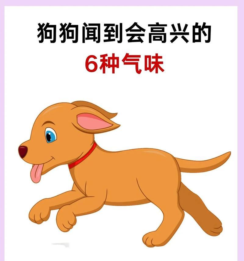 狗狗对泥土的热爱与表现（探索自然的本能与欢乐）