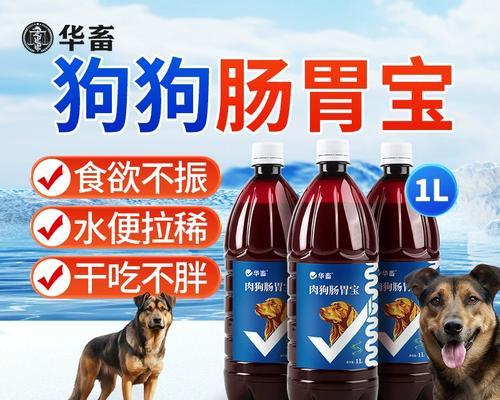 狗狗拉肚子怎么办？快速缓解和预防方法（如何给狗狗使用益生菌来改善肠胃问题）