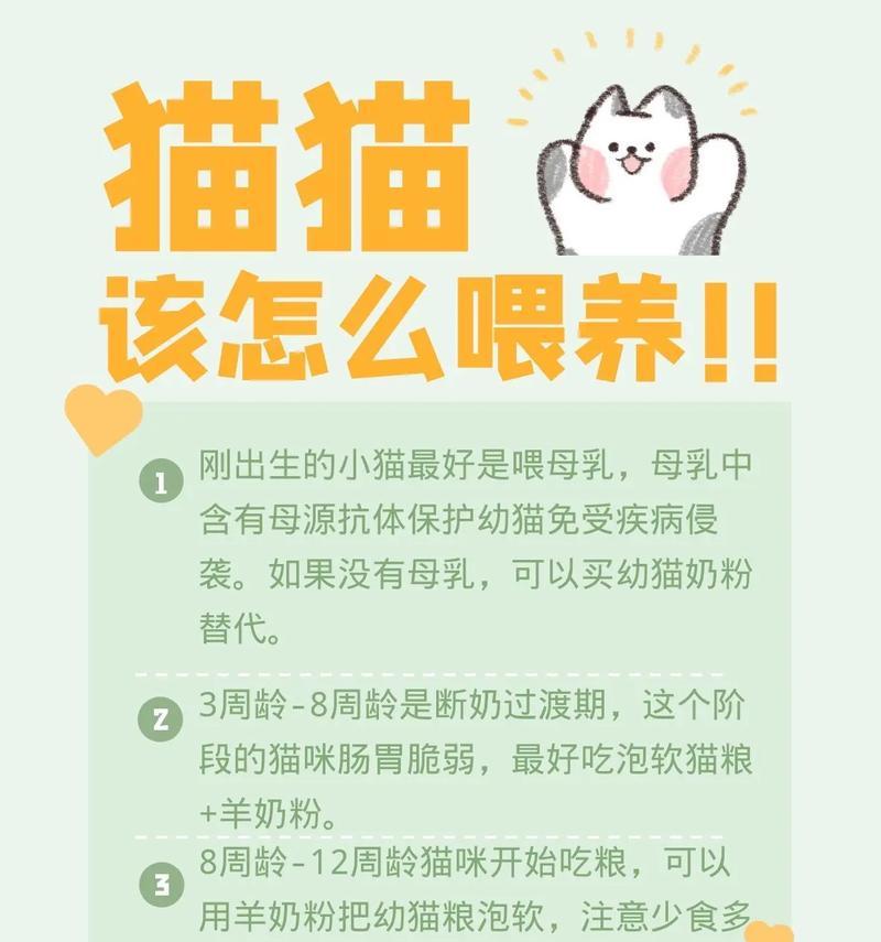 如何照顾刚出生的小猫？（人工喂养是否可行？如何成功养活小猫？）