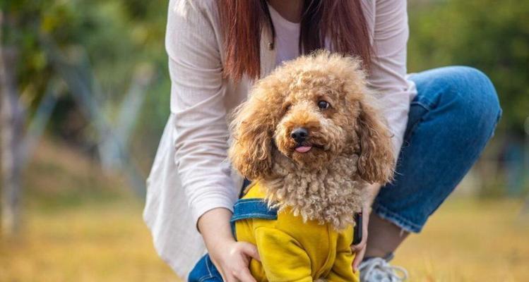断尾争议（探讨断尾对犬只的影响及相关时间消耗）
