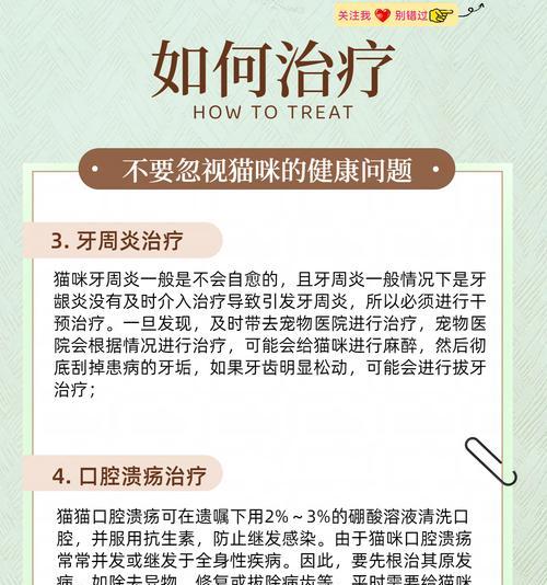 猫咪为什么没食欲？（探究猫咪食欲缺失的原因及应对方法）