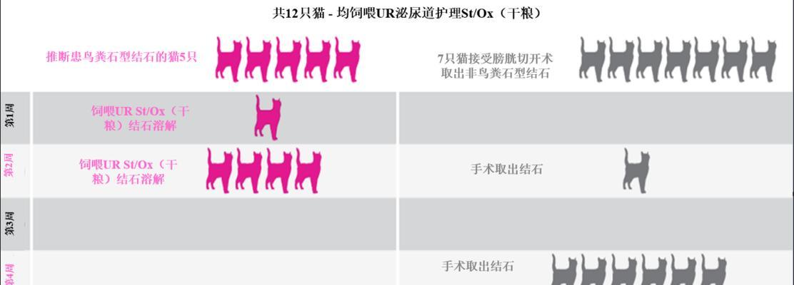 猫咪尿液检查（自家取样？简单易行的猫咪尿液检查方法）