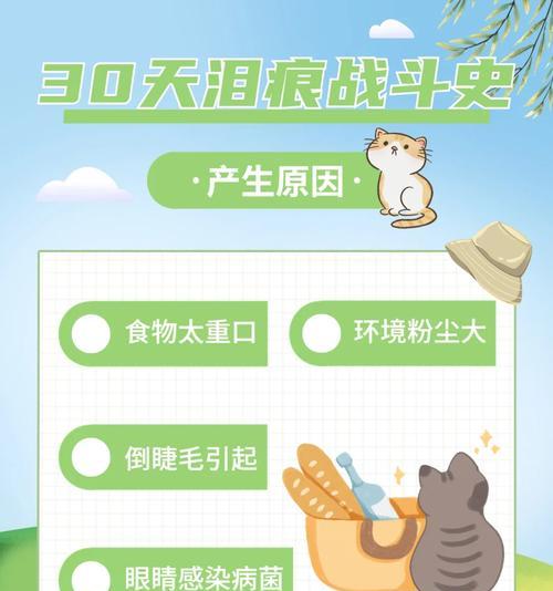 如何帮助猫咪解决泪痕问题？（三招解决猫咪泪痕，省钱又有效）