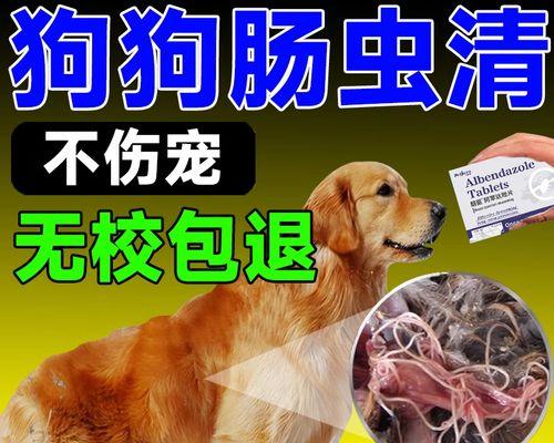 宠物医生整理（保护宠物免受寄生虫侵害，健康快乐与您同行）