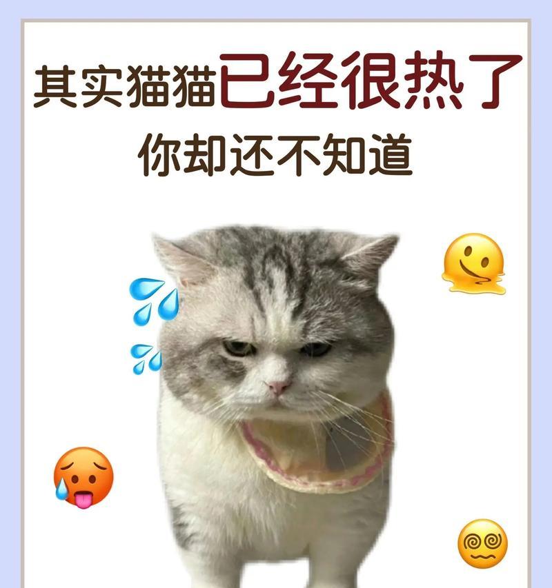 如何帮助发烧的猫咪降温？（一些简单而有效的方法可以加速猫咪的康复）
