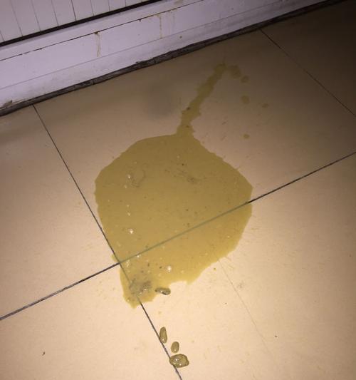 幼犬拉稀原因及解决措施（了解幼犬拉稀的原因，合理调节饮食，及时就医，预防维生素缺乏）