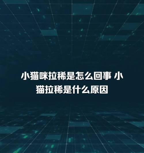 猫咪拉稀的原因及调理方法（探究猫咪拉稀的成因，科学喂养有助于调理猫咪肠胃健康）