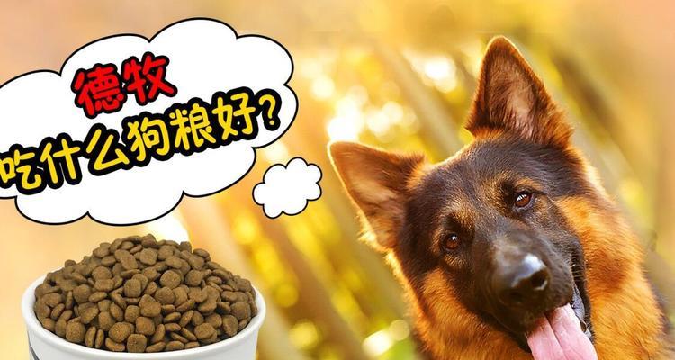 如何解决德国牧羊犬挑食不爱吃狗粮的问题（如何增加德国牧羊犬对狗粮的兴趣）
