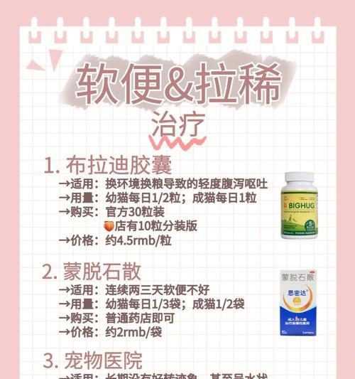 猫咪腹泻呕吐的病因及治疗方法（了解猫咪腹泻呕吐的原因，采取正确的治疗方法，让爱宠恢复健康）