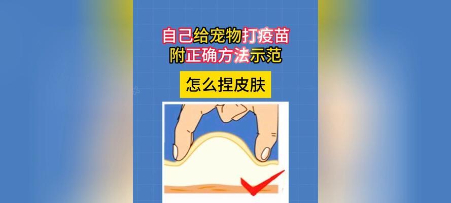 宠物打疫苗的重要性——保护狗狗健康的关键（了解狗狗疫苗，让你的宠物更健康）