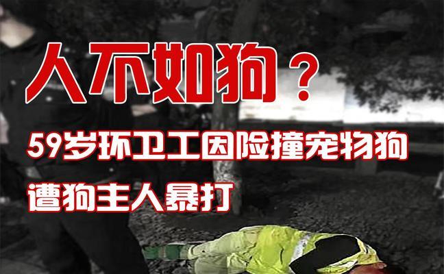 狗界的烂大街名字——你家狗狗撞名了吗？（盘点最常见的狗名字，是否让你的狗狗变得平凡无奇？）